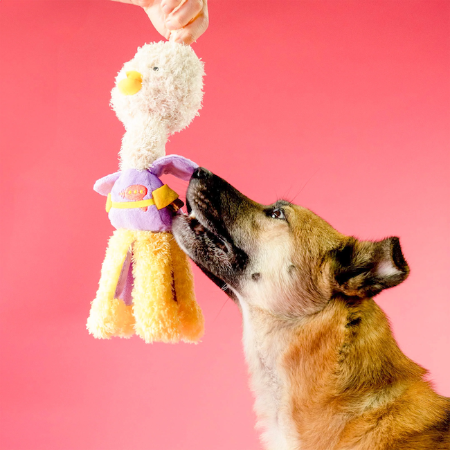 The Furryfolks - OstriKraken Nosework Toy