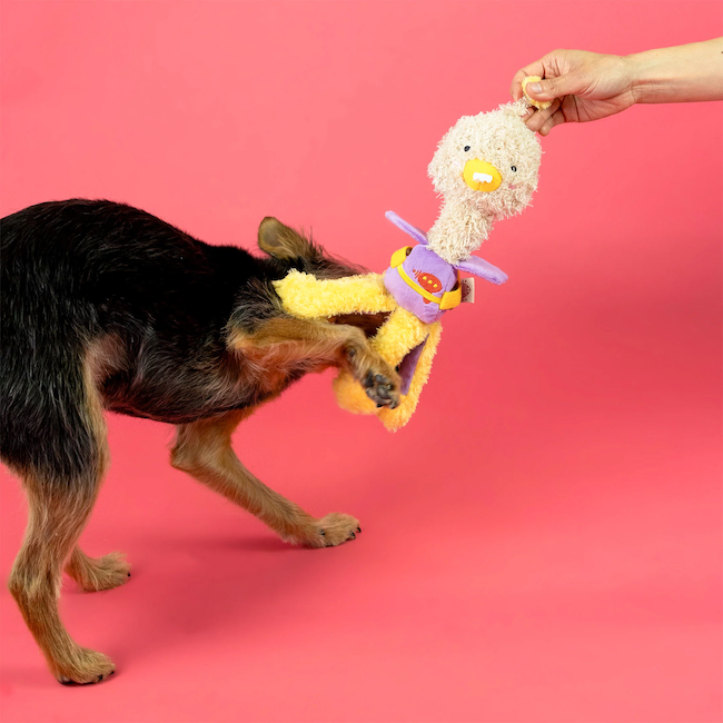 The Furryfolks - OstriKraken Nosework Toy