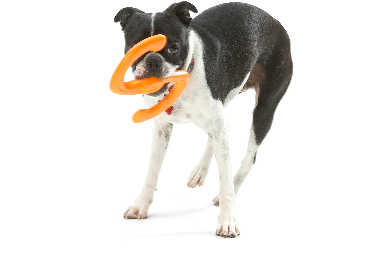 West Paw - Bumi
