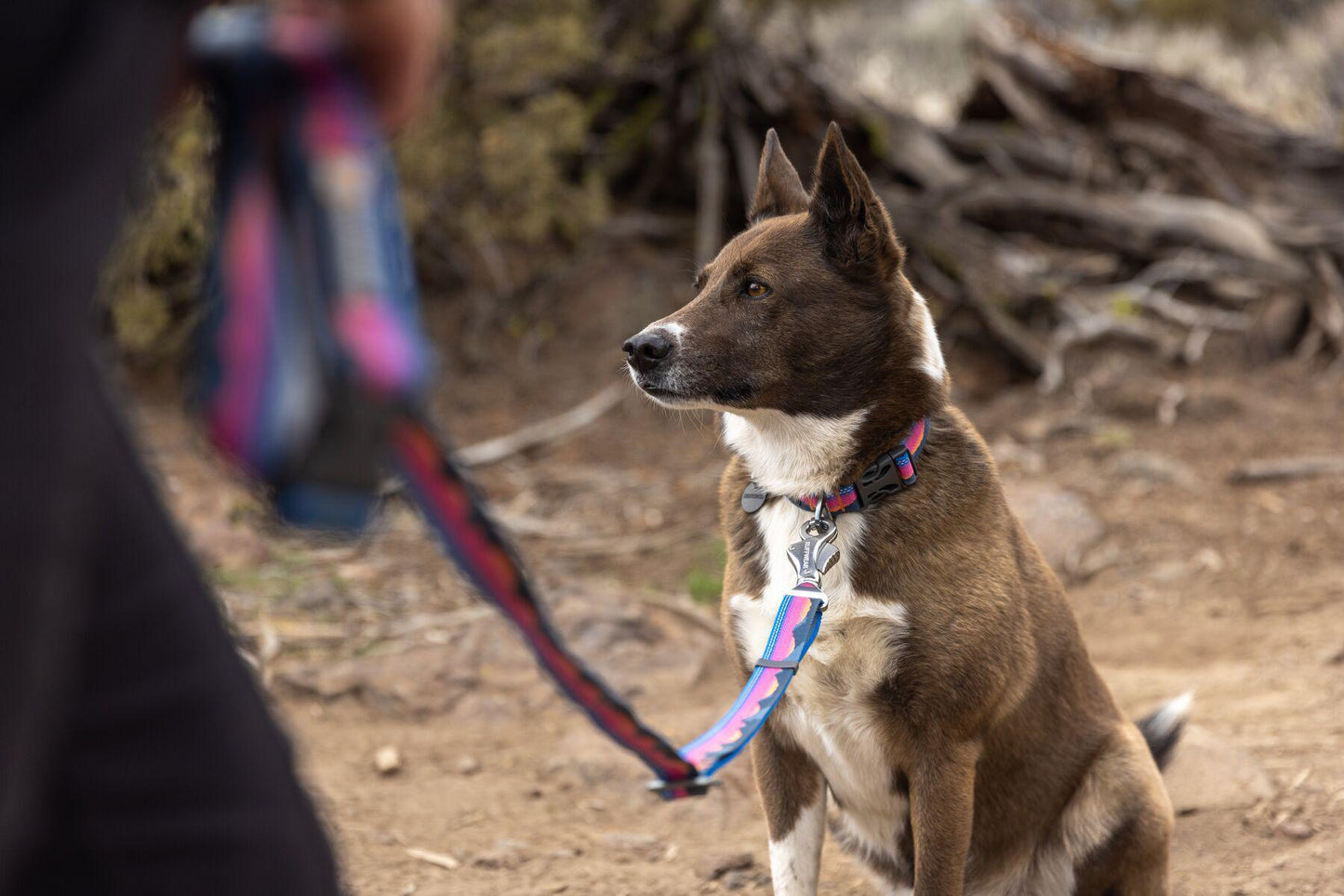 Ruffwear - Crag Collar - Alpine Dusk