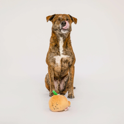 The Furryfolks - Yellow Onion Nosework Toy