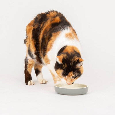 Scruffs - Cat & Small Pet Saucer - Light Grey