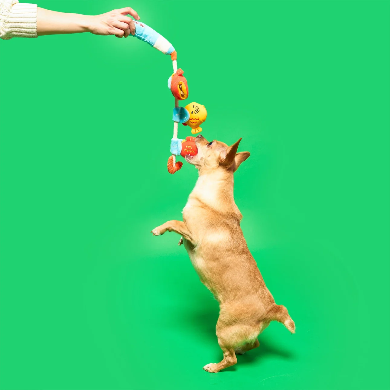 The Furryfolks - Fishing Rod Nose Work Toy