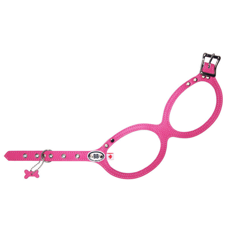 Buddy Belts - Dog Harness