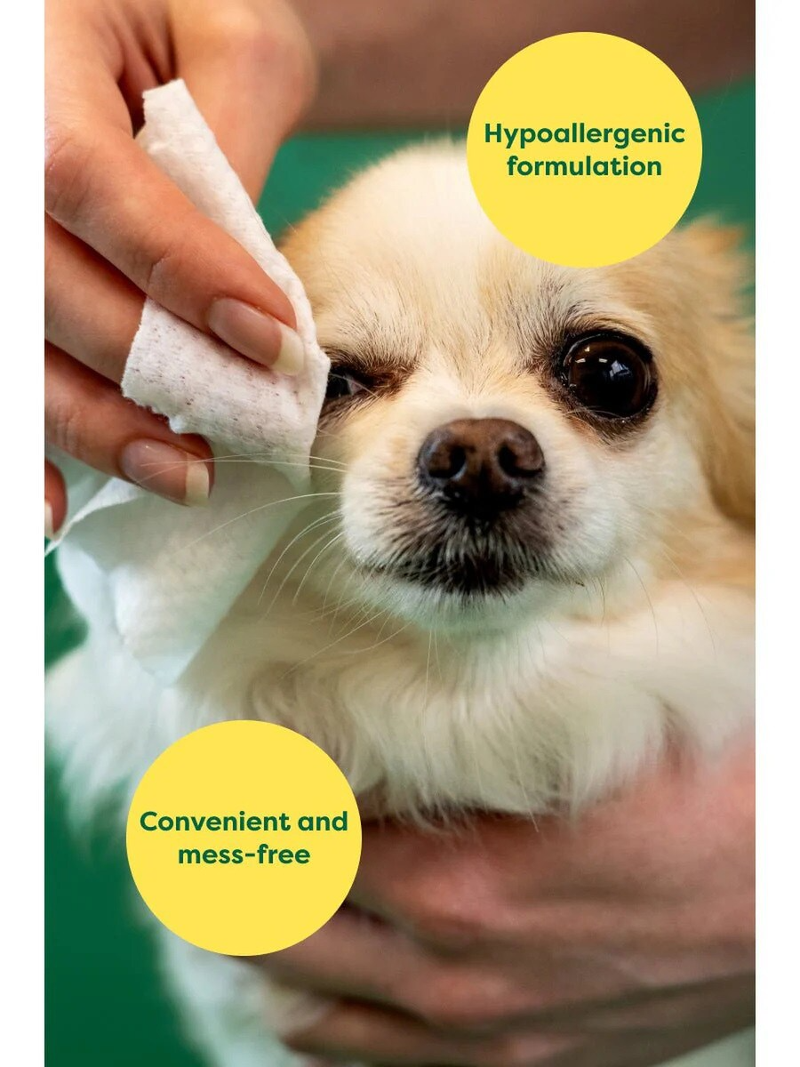 Earth Rated - Eye Wipes - 60pk