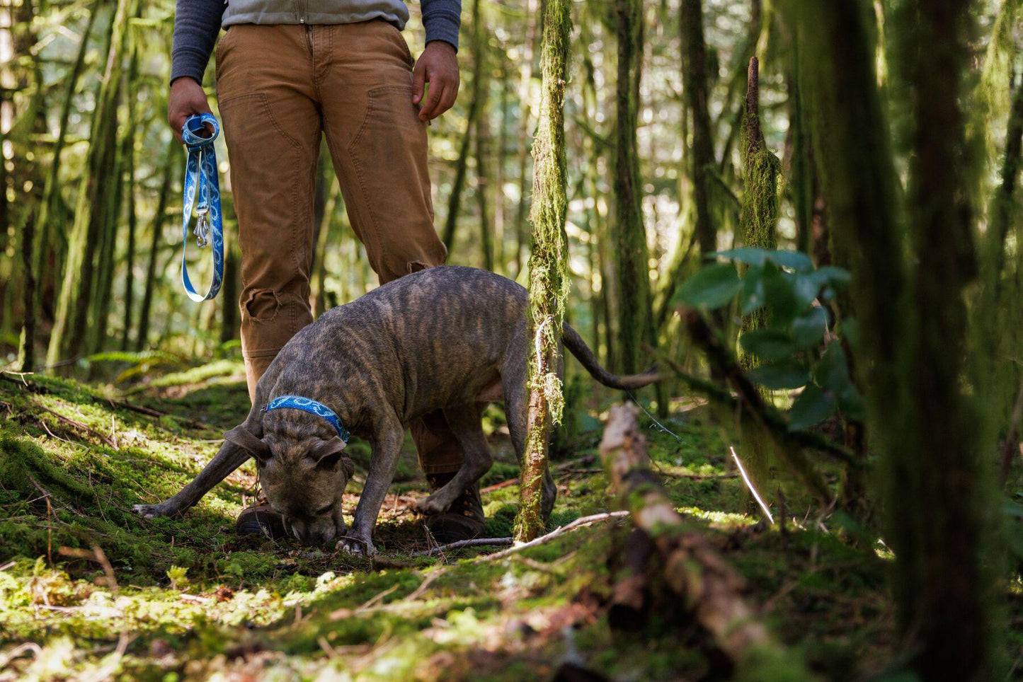 Ruffwear - Crag Collar - Midnight Wave