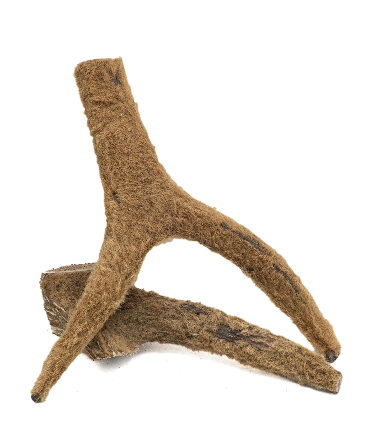 Maggie's Favourites - Solid Elk Antler with Velvet