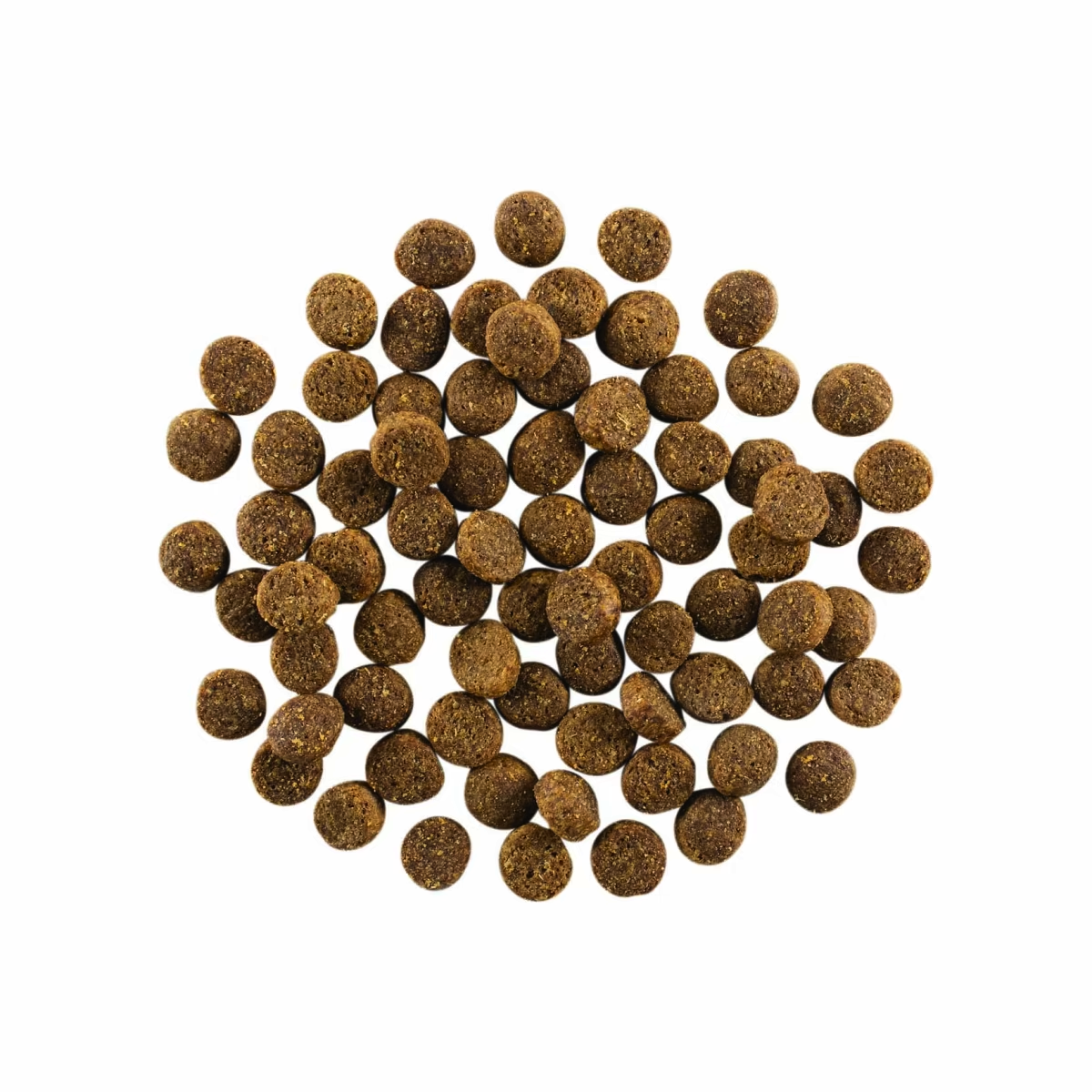 Go! - Skin & Coat Care - Dry Dog Food