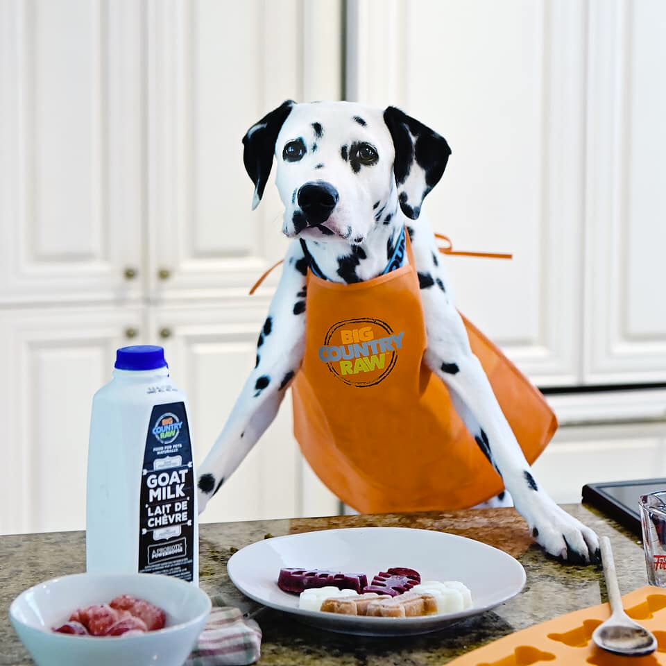 Big Country Raw - Raw Goat Milk