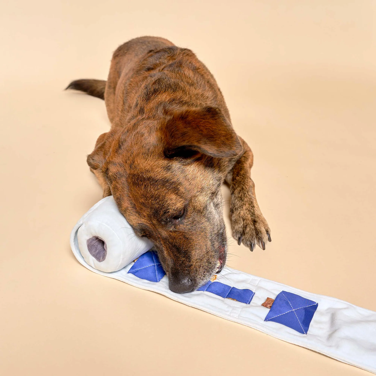 The Furryfolks - Toilet Paper Nosework Toy