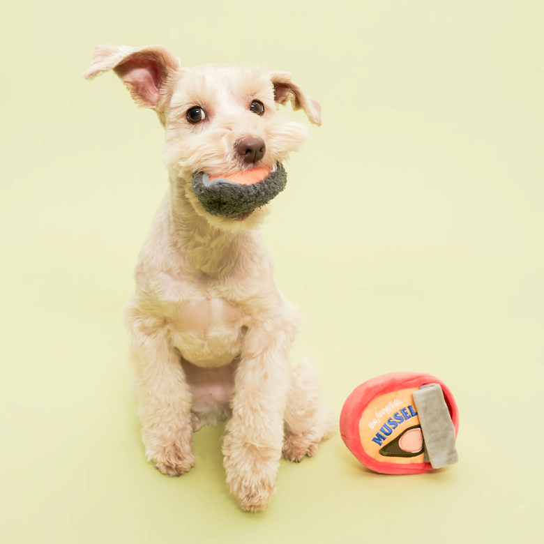 The Furryfolks - Tinned Mussel Nosework Toy