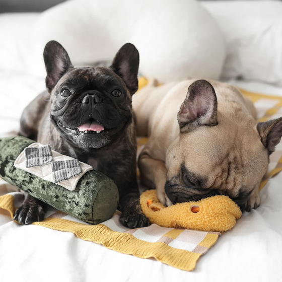 Lambwolf Collective - Merlot Dog Toy