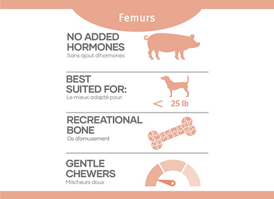 Red Dog Blue Kat - Pork Femurs