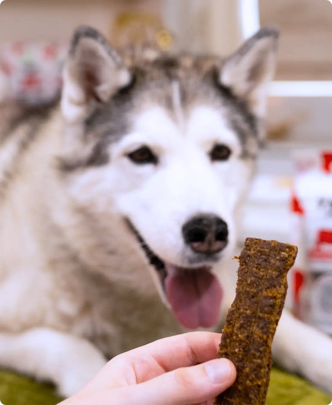 Open Farm - Jerky Strips - Dog Treats