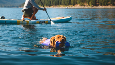 Ruffwear - Hydro Plane
