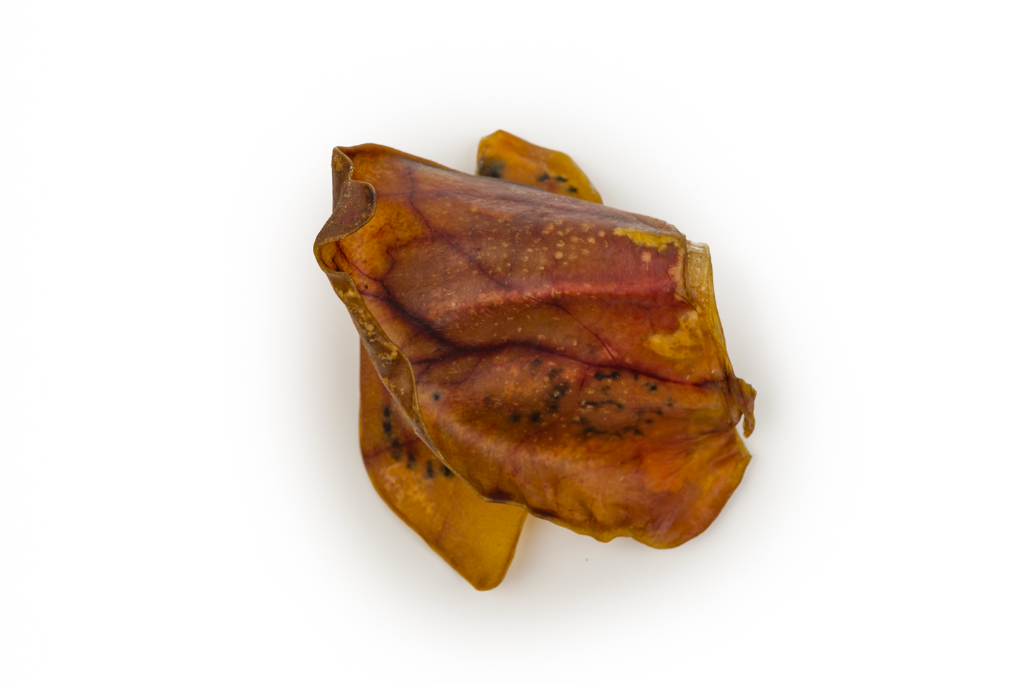 Maggie's Favourites - Pig Ears - Value Pack