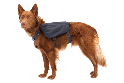 Ruffwear - Front Range Day Pack