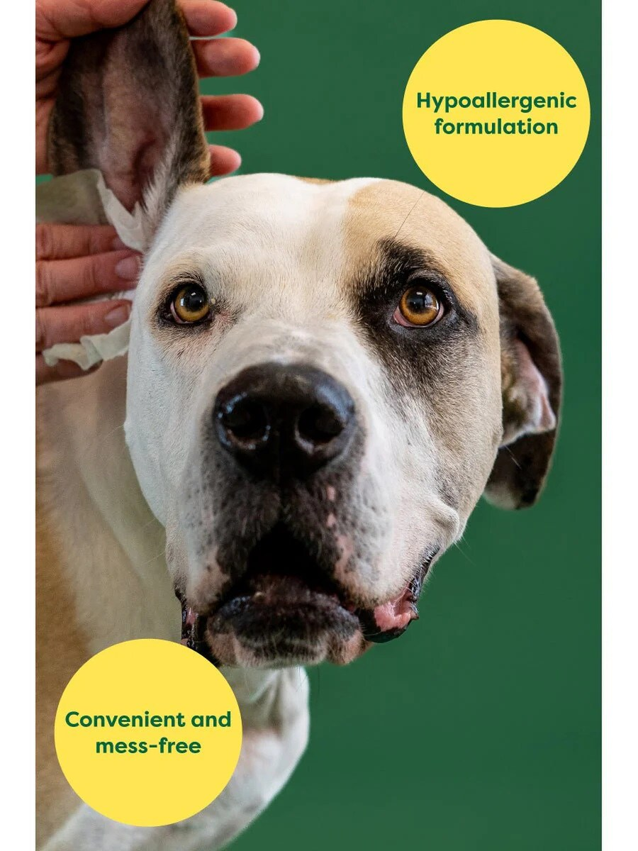 Earth Rated - Ear Wipes - 60pk