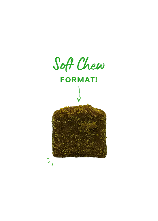 Open Farm - Dog Supplement Hip & Joint Chews - 90 ct