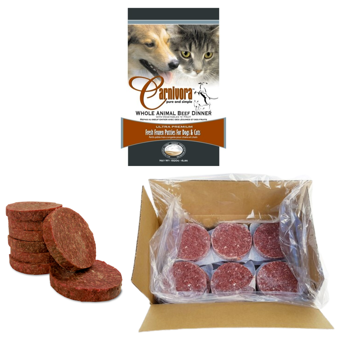 Carnivora raw online