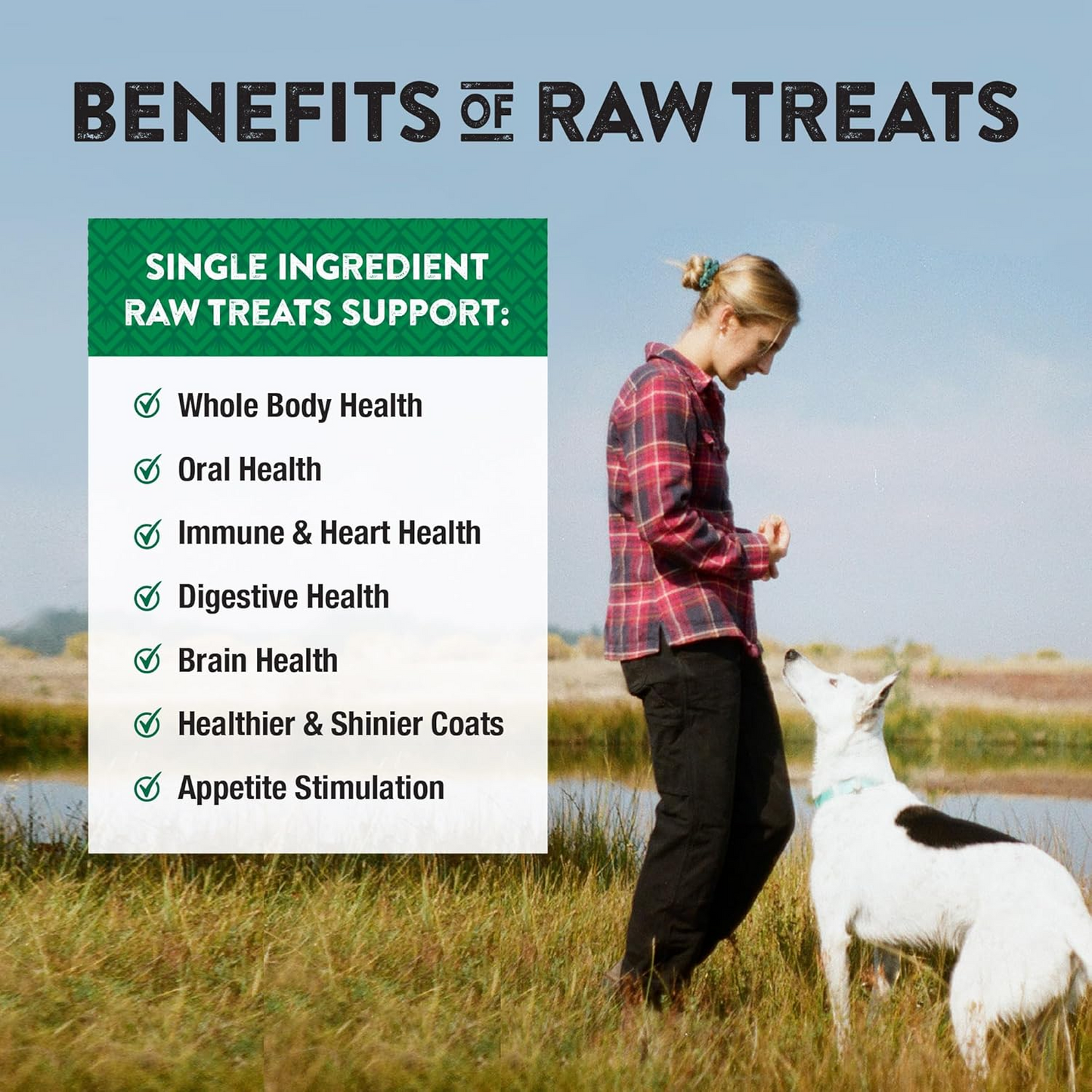 Northwest Naturals - Duck Necks Freeze-Dried Treats - Single