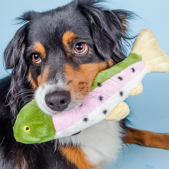 Fluff & Tuff - Burt the Lake Trout