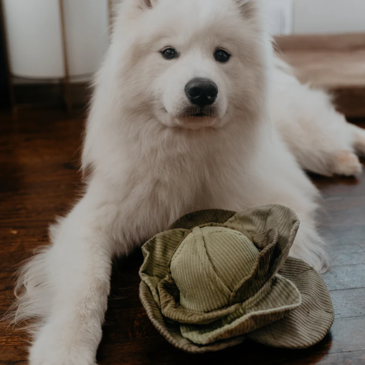 Lambwolf Collective - Cabbage POP Dog Toy