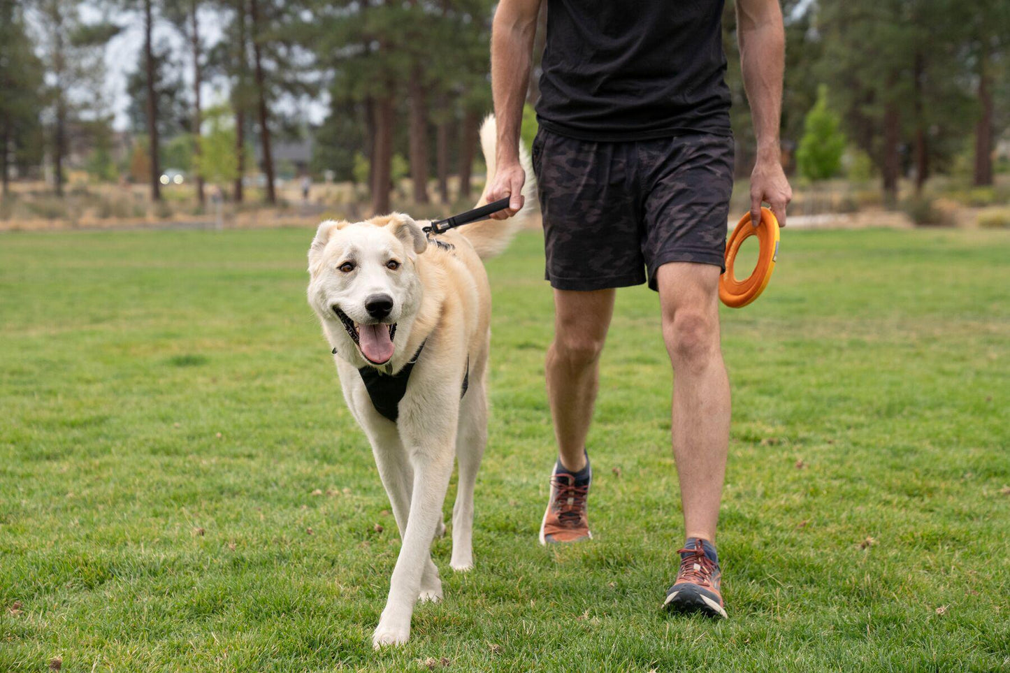 Ruffwear - Front Range Short Leash
