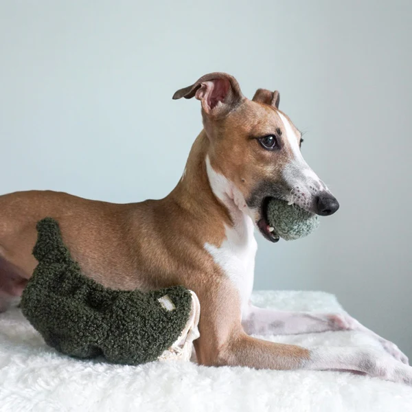 Lambwolf Collective - Pea Pop Dog Toy