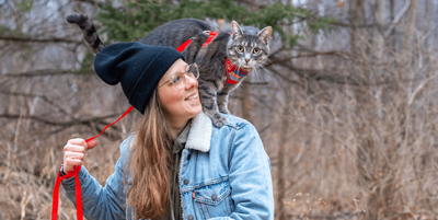 RC Pets - Adventure Kitty Harness