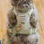 Dexypaws - No-Pull Dog Harness - Sage Green
