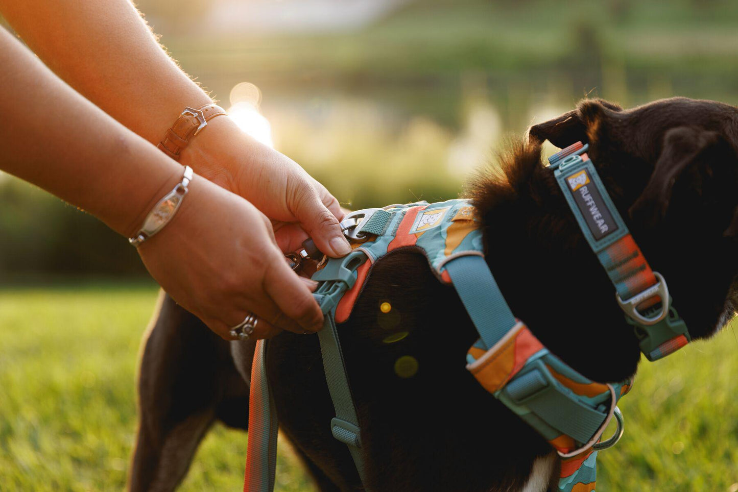 Ruffwear - Front Range Harness (2024)