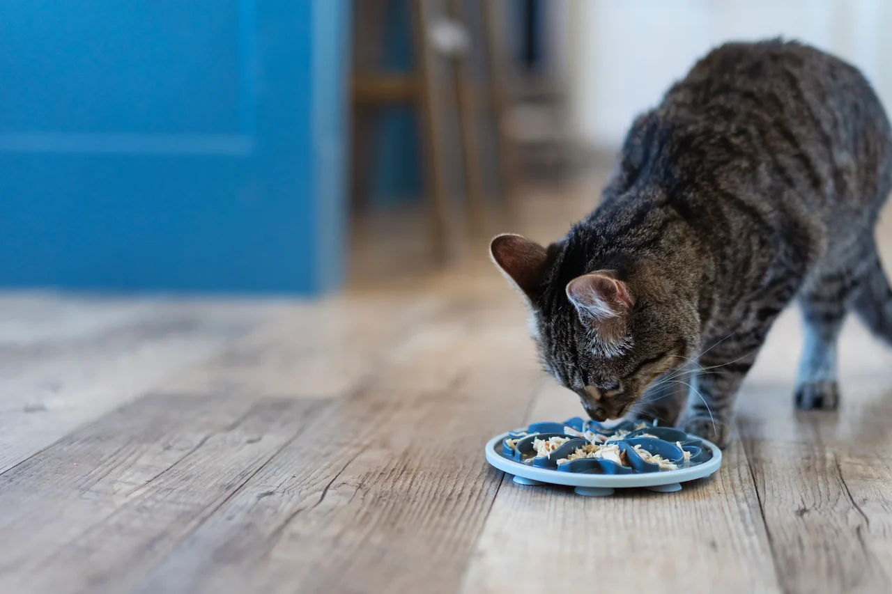 Messy Mutts - Messy Cats Interactive Slow Feeder