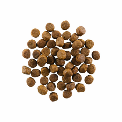 Go! - Carnivore Grain-Free - Dry Dog Food
