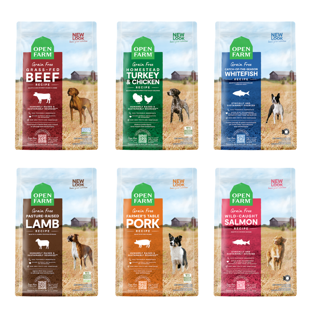 Open farm grain 2024 free dog food