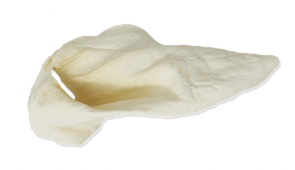 Maggie's Favourites - Cow Ears - Value Pack