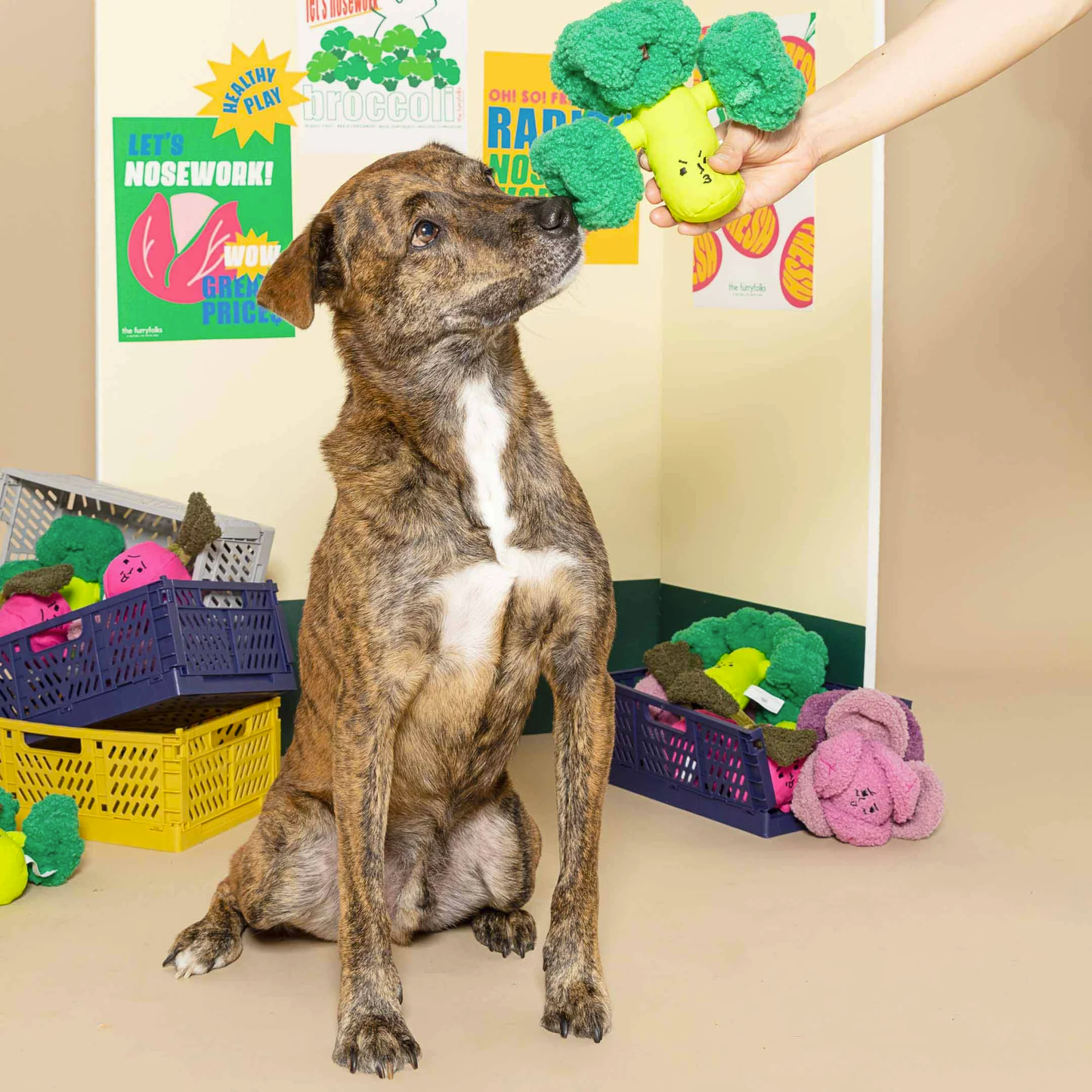 The Furryfolks - Broccoli Nosework Toy