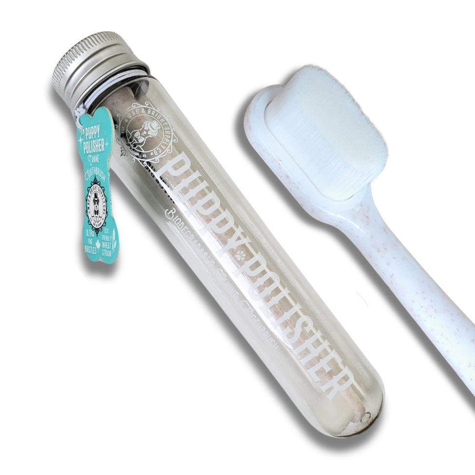 Wag & Bright - Puppy Polisher Toothbrush