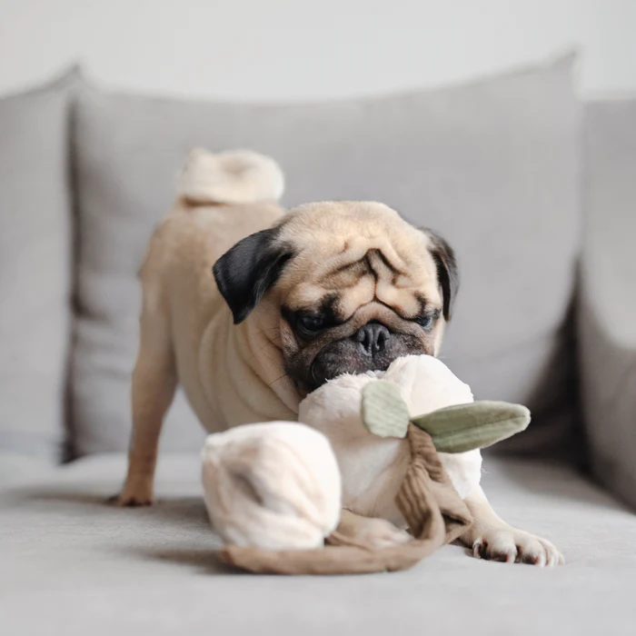 Lambwolf Collective - MOMO Peach Dog Toy
