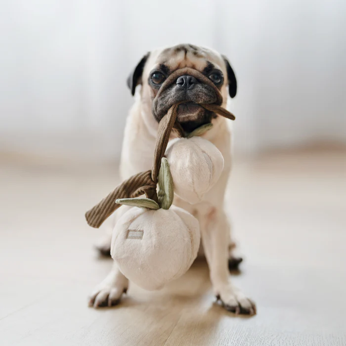 Lambwolf Collective - MOMO Peach Dog Toy
