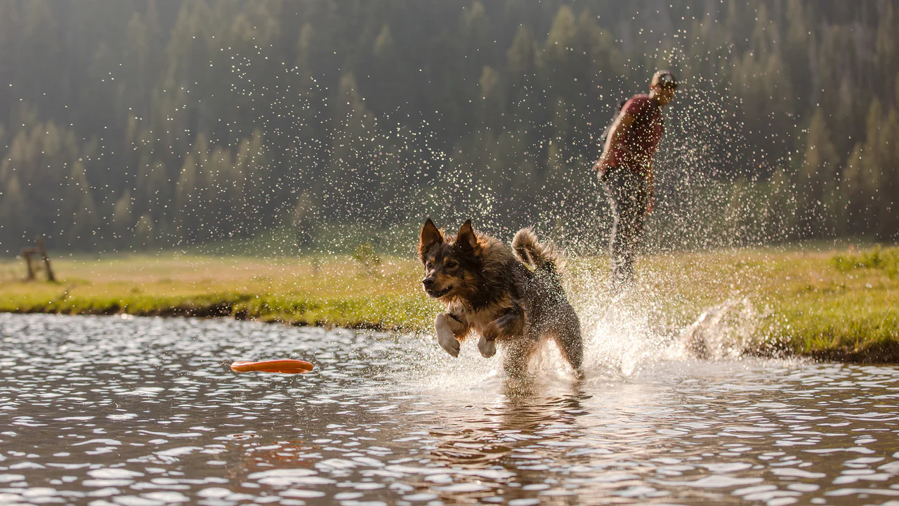 Ruffwear - Hydro Plane