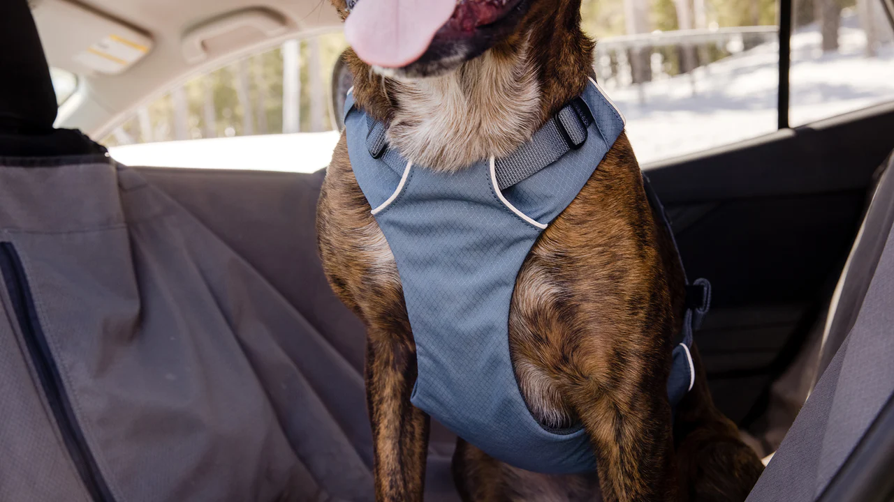 Ruffwear - Load Up  Dog Car Harness