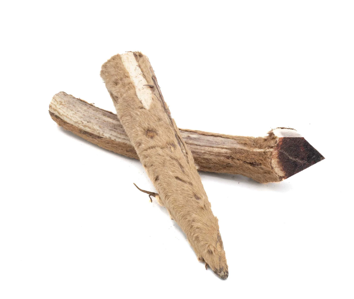 Maggie's Favourites - Solid Elk Antler with Velvet