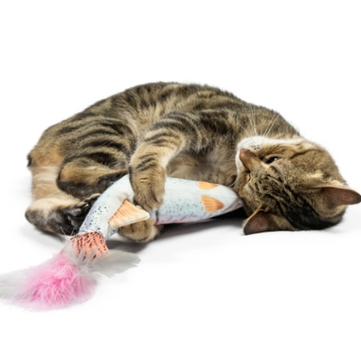Huxley & Kent - Rainbow Trout Kicker Cat Toy