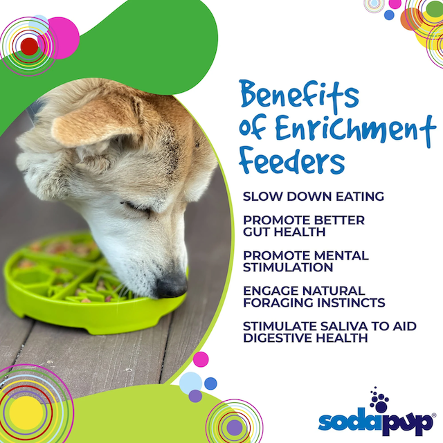 SodaPup - Four Seasons Shallow Slow Feeder Enrichment Bowl