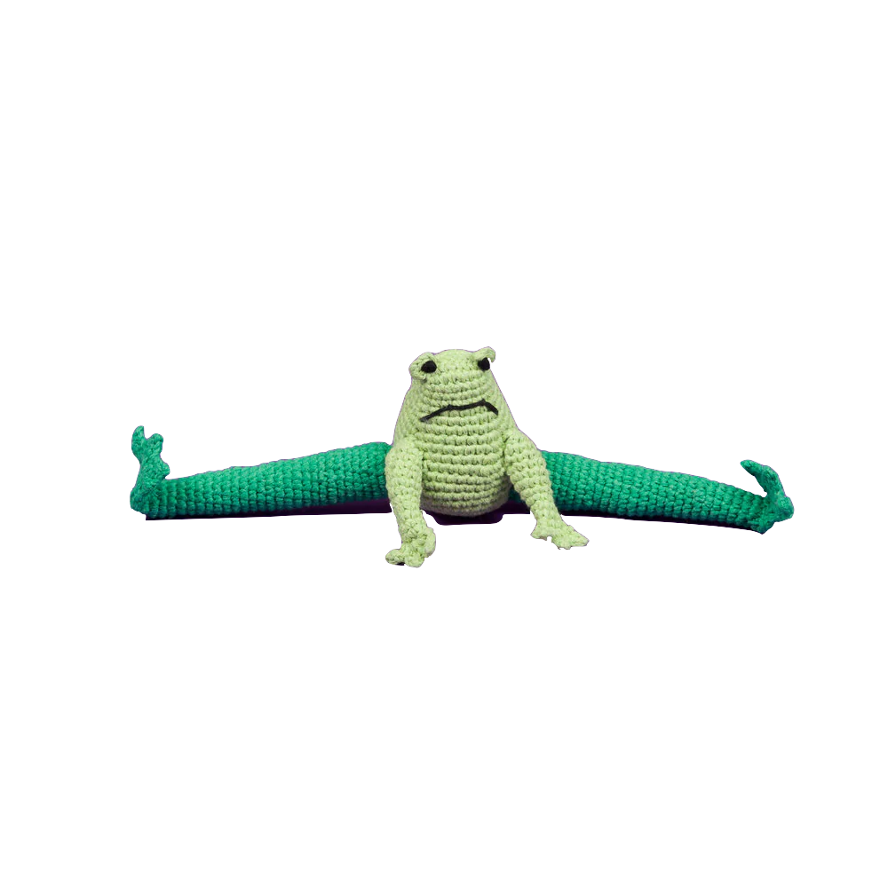 Ware Of The Dog - Hand Crochet Frog Dog Toy