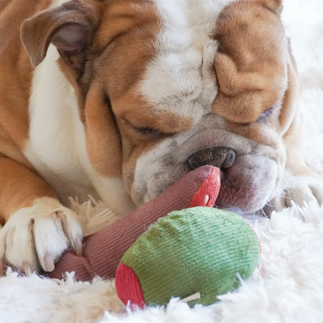 Lambwolf Collective - Olive & Salami Dog Toy