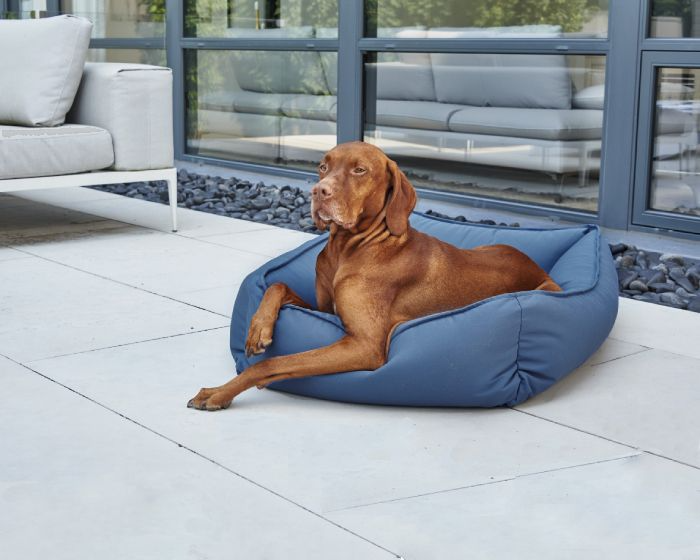 Bowsers - Urban Lounger