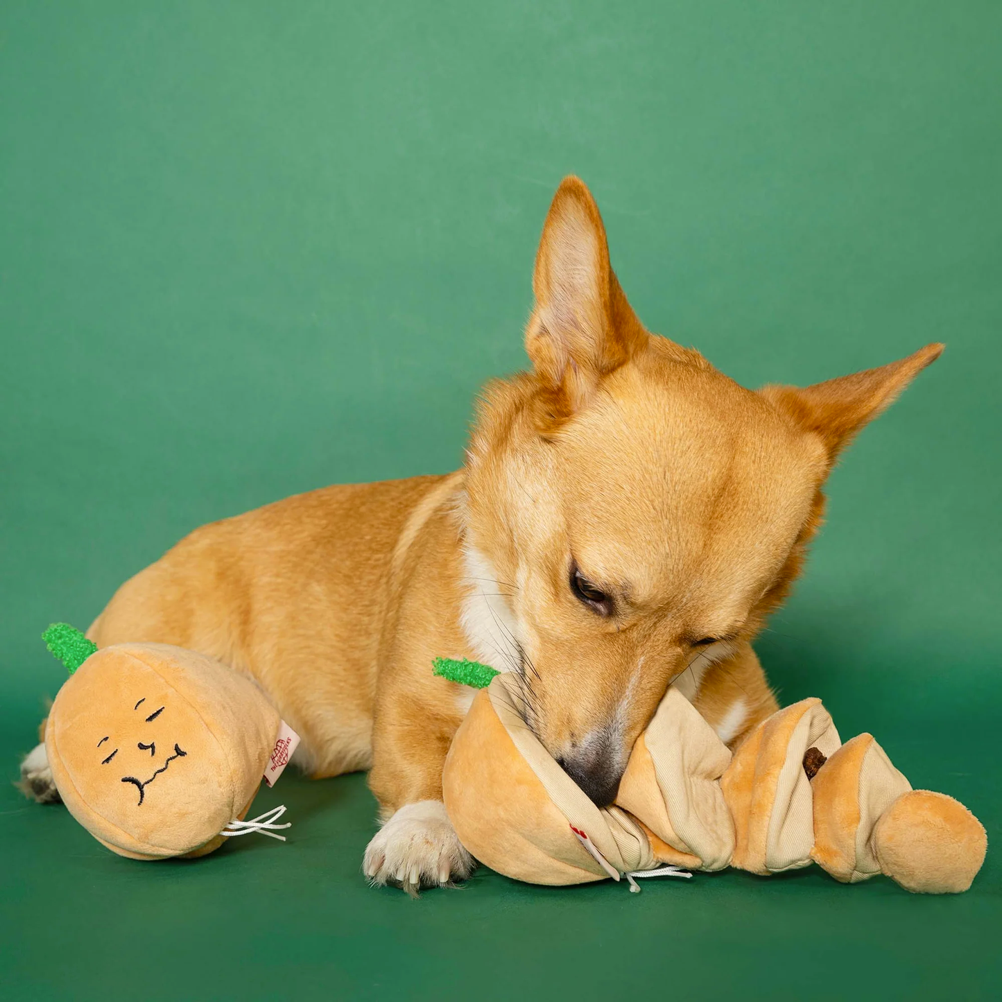 The Furryfolks - Yellow Onion Nosework Toy