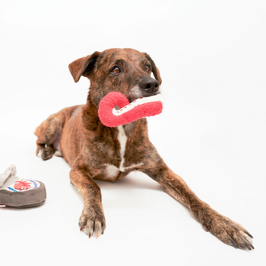 The Furryfolks - Tinned Octopus Nosework Toy